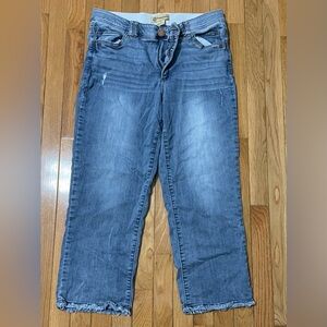 Democracy Size 16 jeans